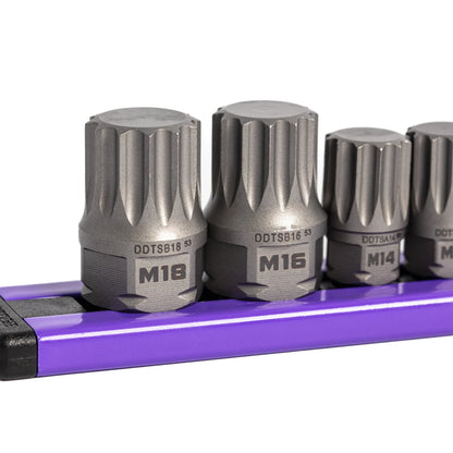 GripEdge  12-PC 1/4 & 3/8 Drive Low Profile Triple Square Dual Action Driver Bit Set